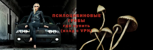 ПСИЛОЦИБИНОВЫЕ ГРИБЫ Алексеевка