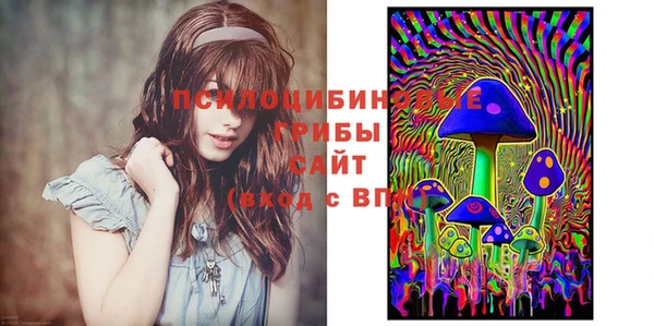 ПСИЛОЦИБИНОВЫЕ ГРИБЫ Алексеевка