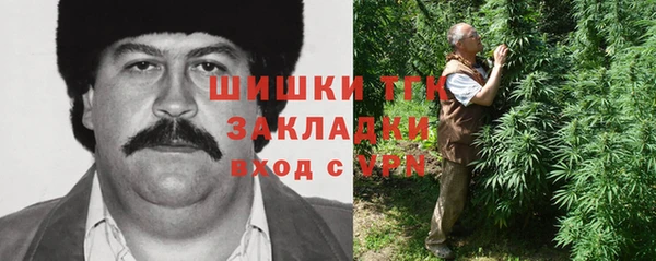 ПСИЛОЦИБИНОВЫЕ ГРИБЫ Алексеевка