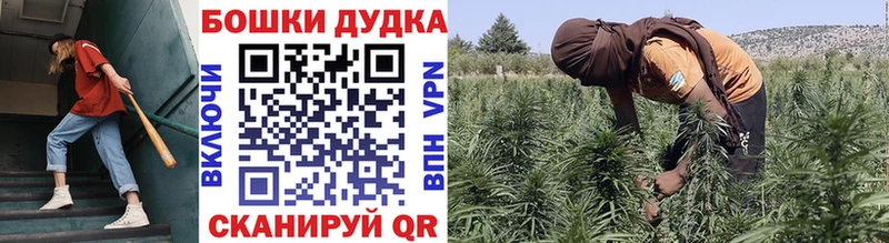 где найти наркотики  Сочи  Конопля марихуана 